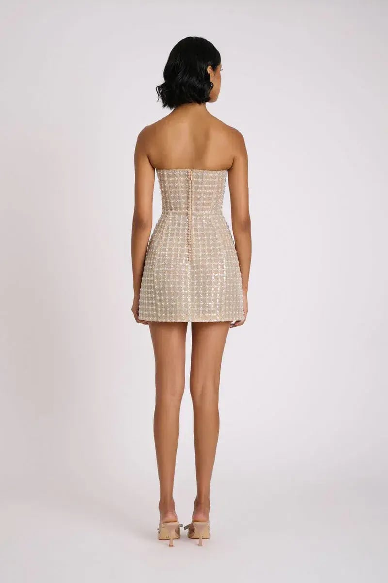 ELIYA THE LABEL Serafina Dress XS Silver Nude photo 3