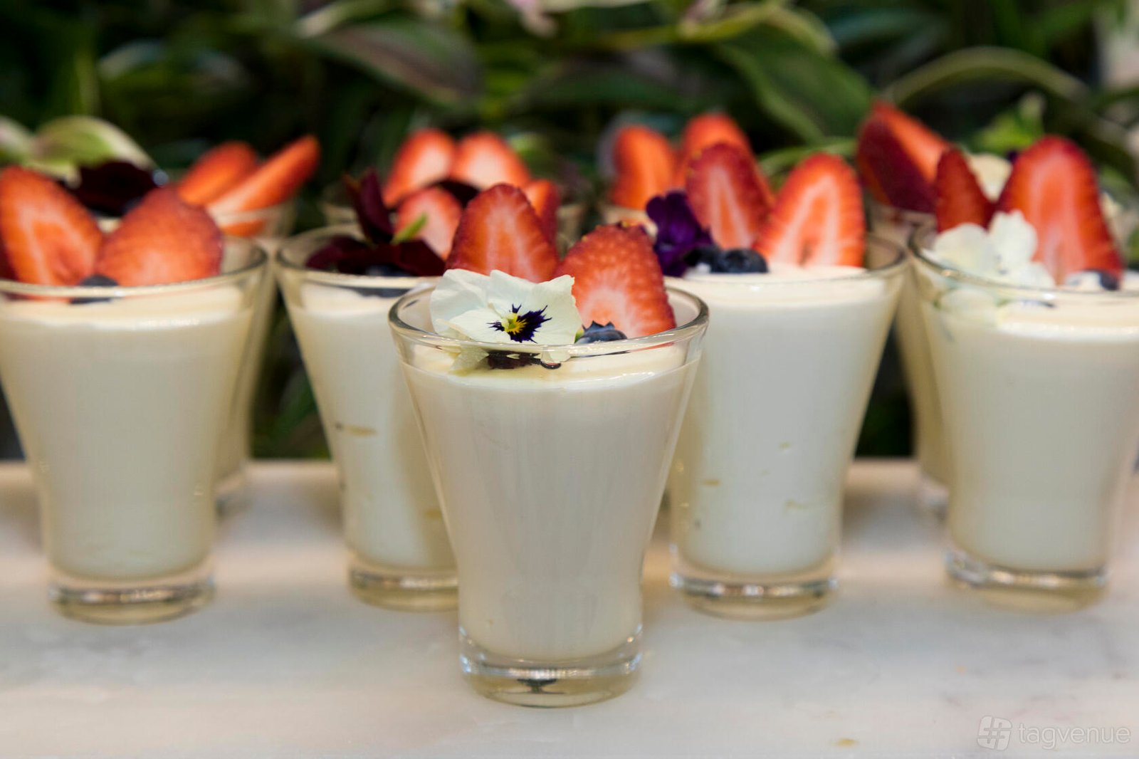 Escarpment Room at Sage Hotel Wollongong photo 6