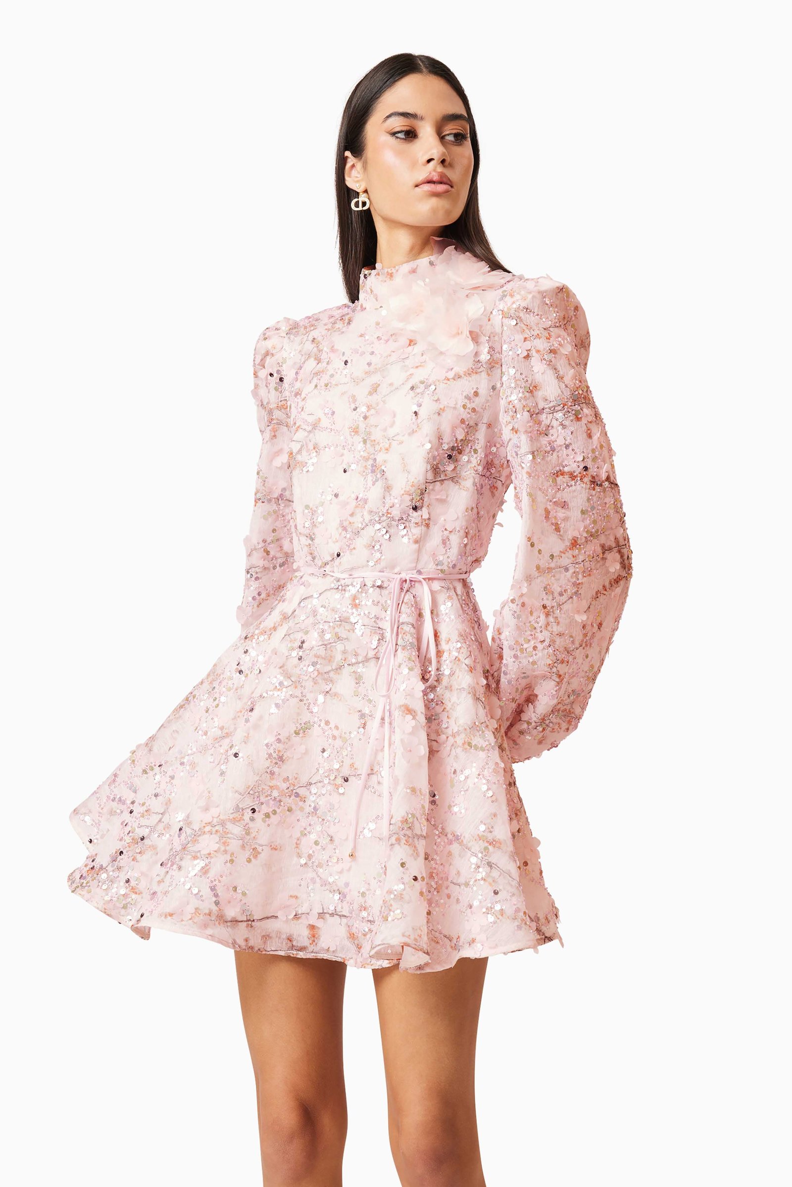 ELLIATT REGINA LONG SLEEVE DRESS - PINK photo 2