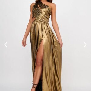 Selfie Leslie Fortuna Dress photo 2