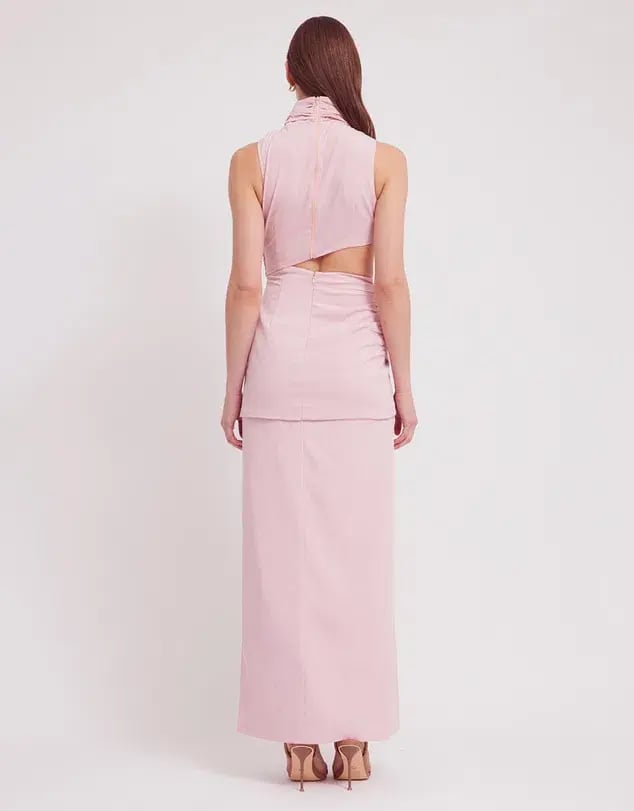 Tojha Giana Dress Rose Size 10 photo 3