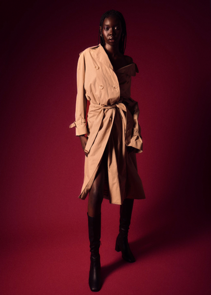 Photography Studio photo 4