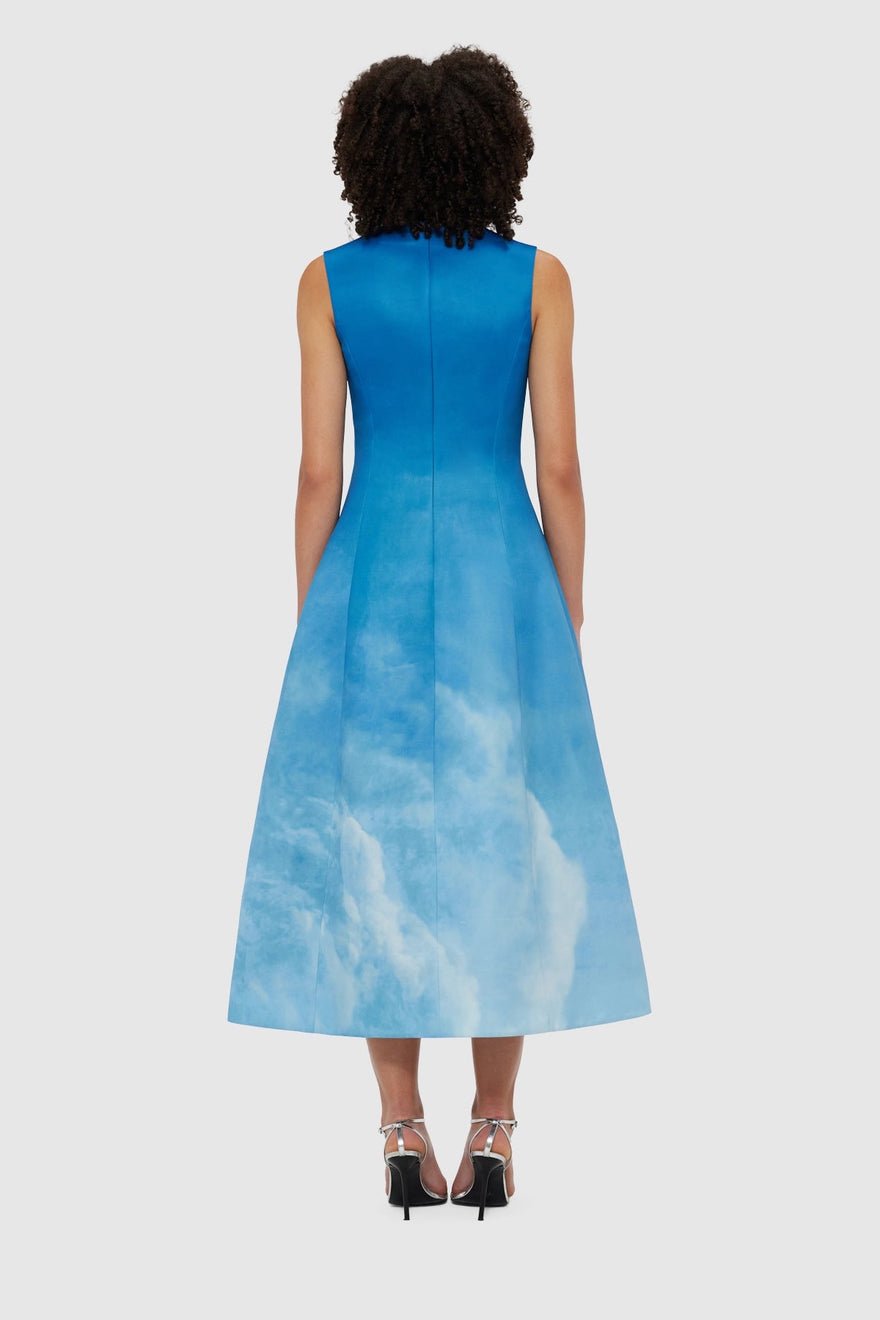 Leo Lin Cleo Sleeveless Midi Dress - Aerial Print photo 5