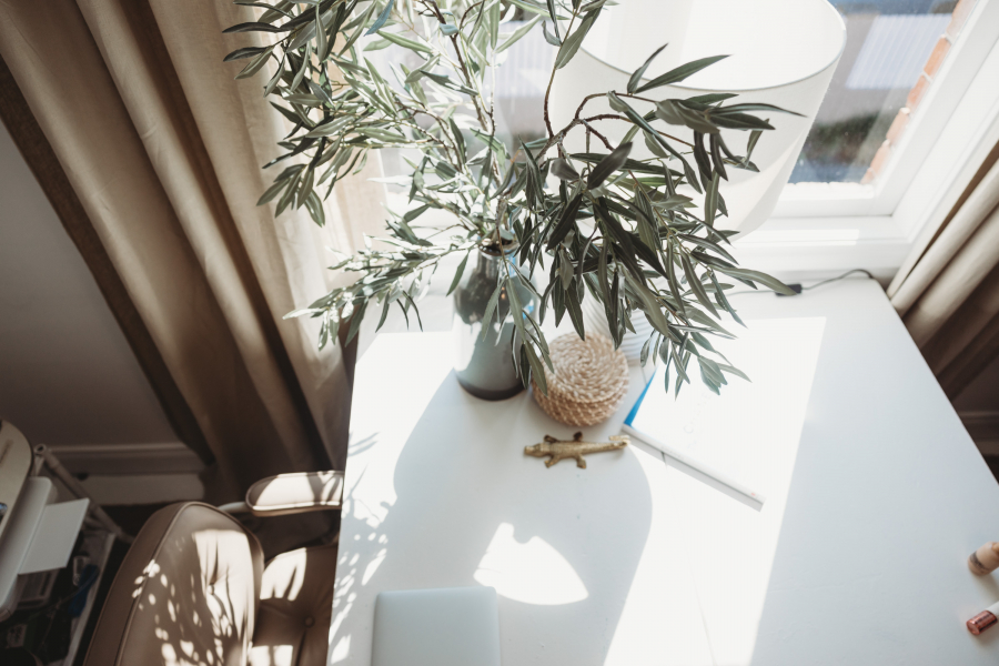 The Studio Collective: Co-working for Creatives photo 6