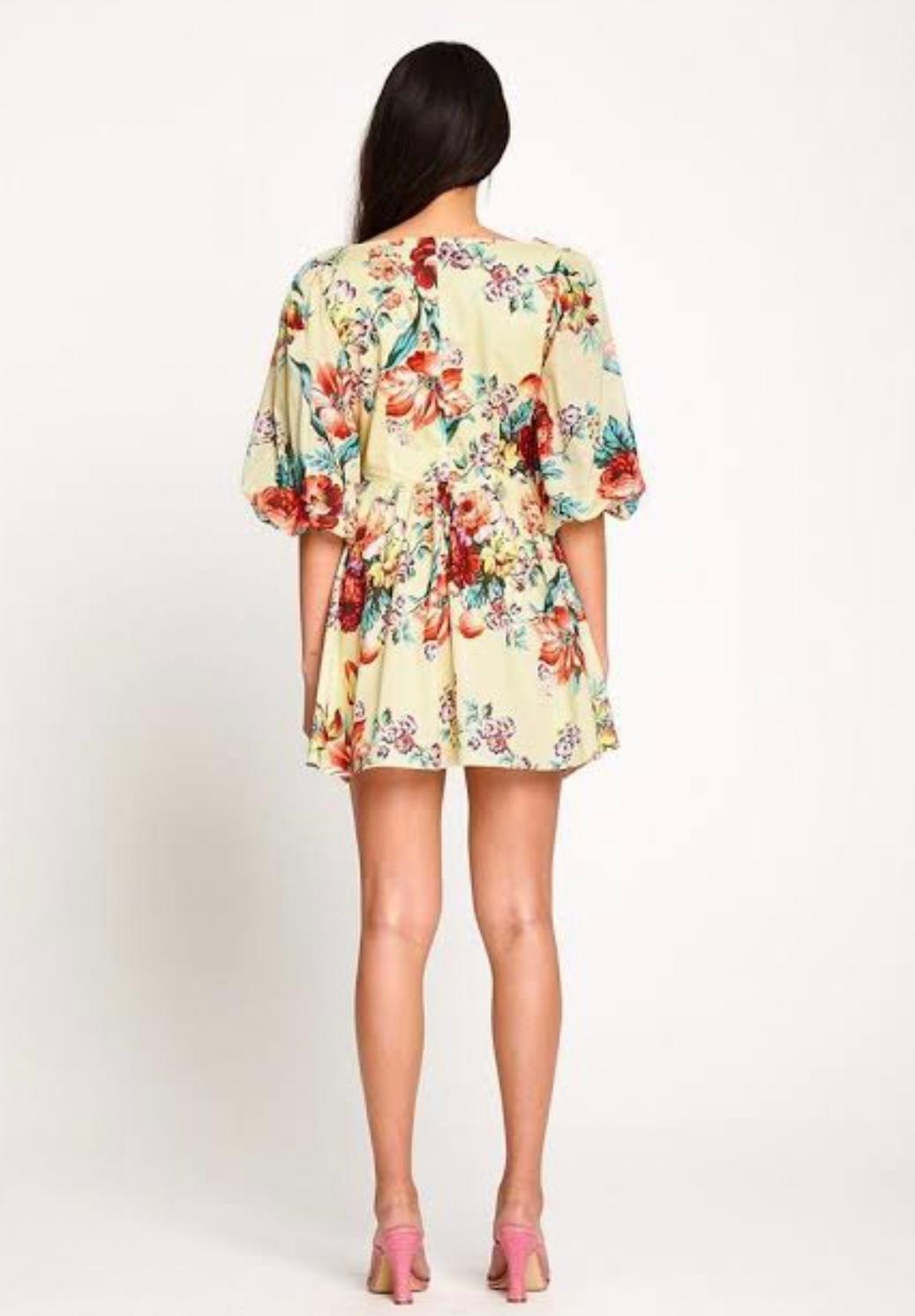 Alice McCall Baby Dee Mini Dress Print Size 8 photo 2