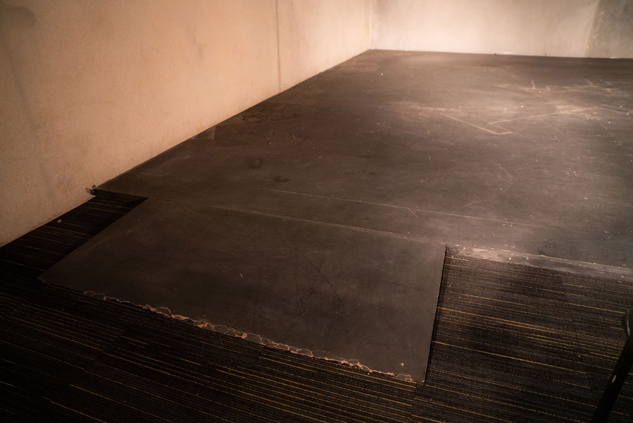 Alpha Shows Theatre photo 8