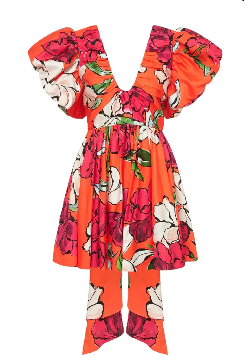 Aje Gretta Bow Back Mini Dress Floral Size 10 photo 4