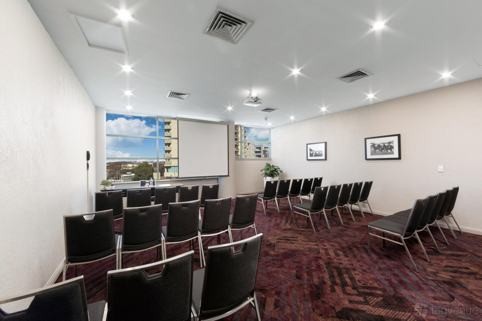 Makybe Diva at Rydges Parramatta photo 4