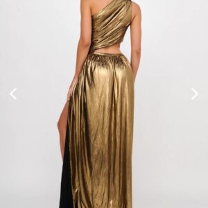 Selfie Leslie Fortuna Dress photo 6