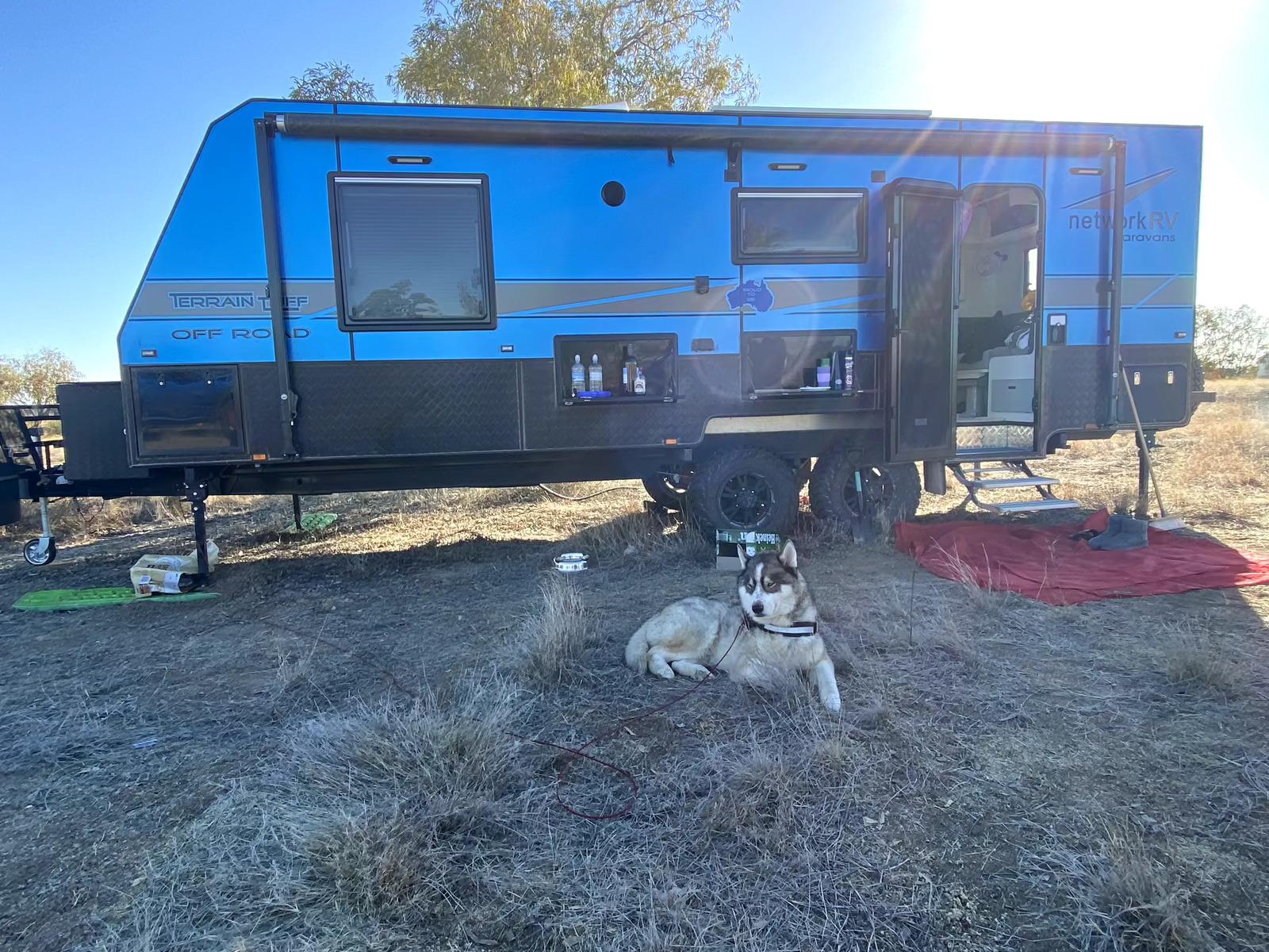 Bolo the Machine, Glamping in the Ruff photo 3