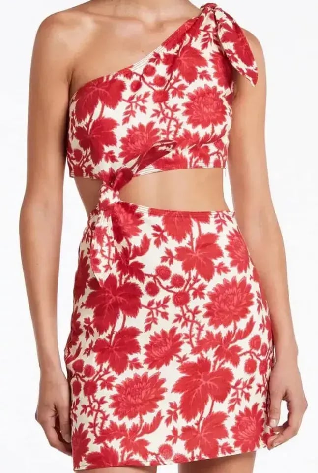 Sir The Label Cinta Cut Out Knot Mini Dress Valentina Floral Print Size 3 / AU 12 photo 2