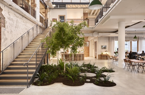 Cremorne Studios photo 8