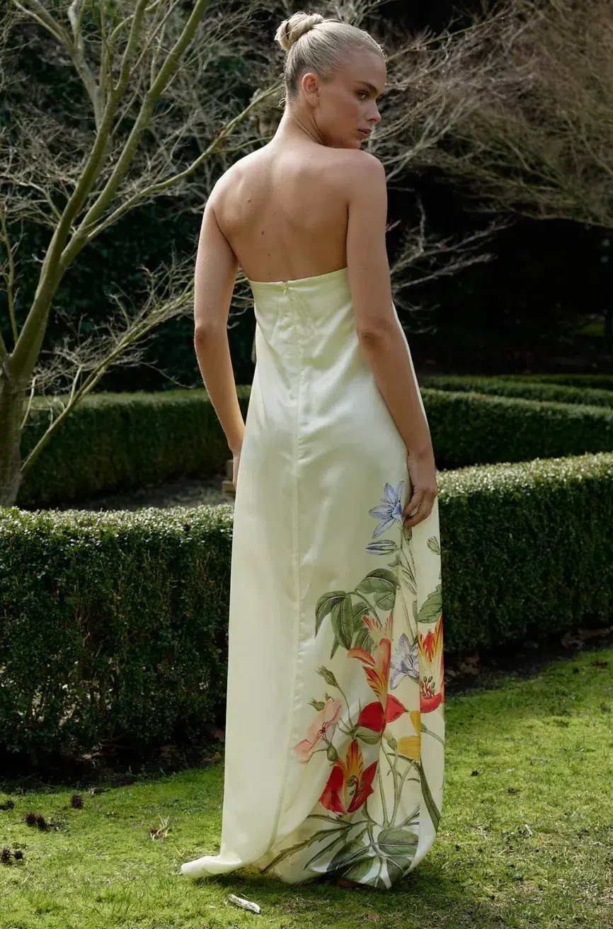 Aston Studio Lucie Dress in Buttermilk Fleur Size 12 photo 2