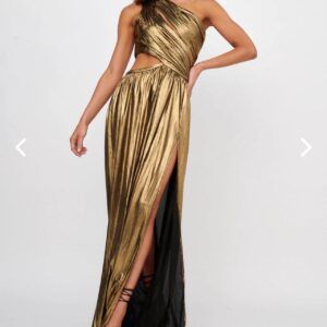 Selfie Leslie Fortuna Dress photo 4