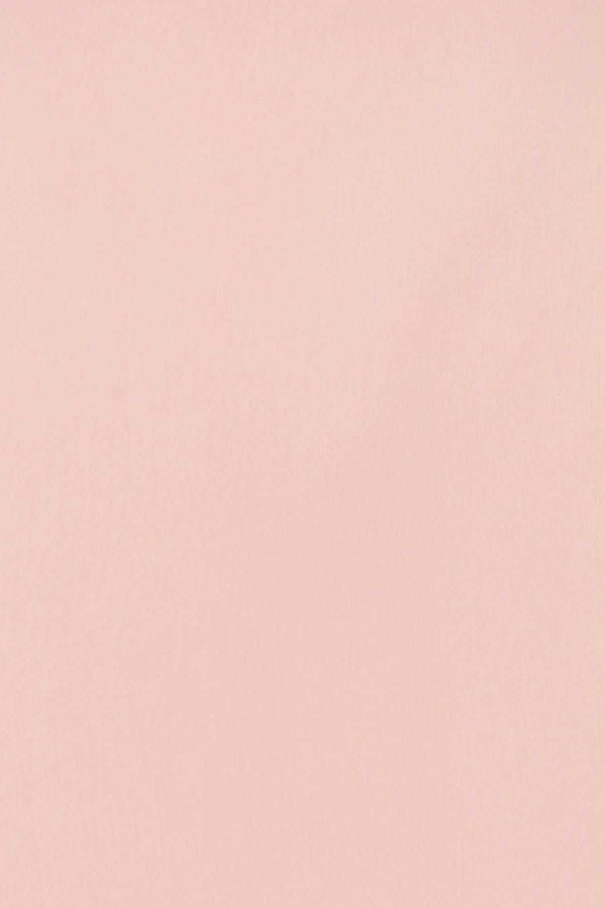 LEO LIN ELYSE APPLIQUÉ SHORT SLEEVE MINI DRESS - LIGHT PINK photo 6