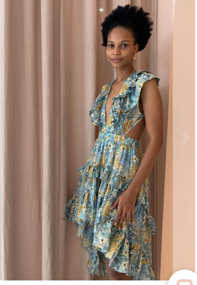 Magali Pascal Botanic Dress in Eden Print photo 6