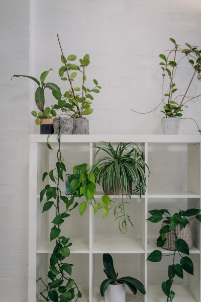 Well Lit and Spacious Studio in Collingwood photo 4
