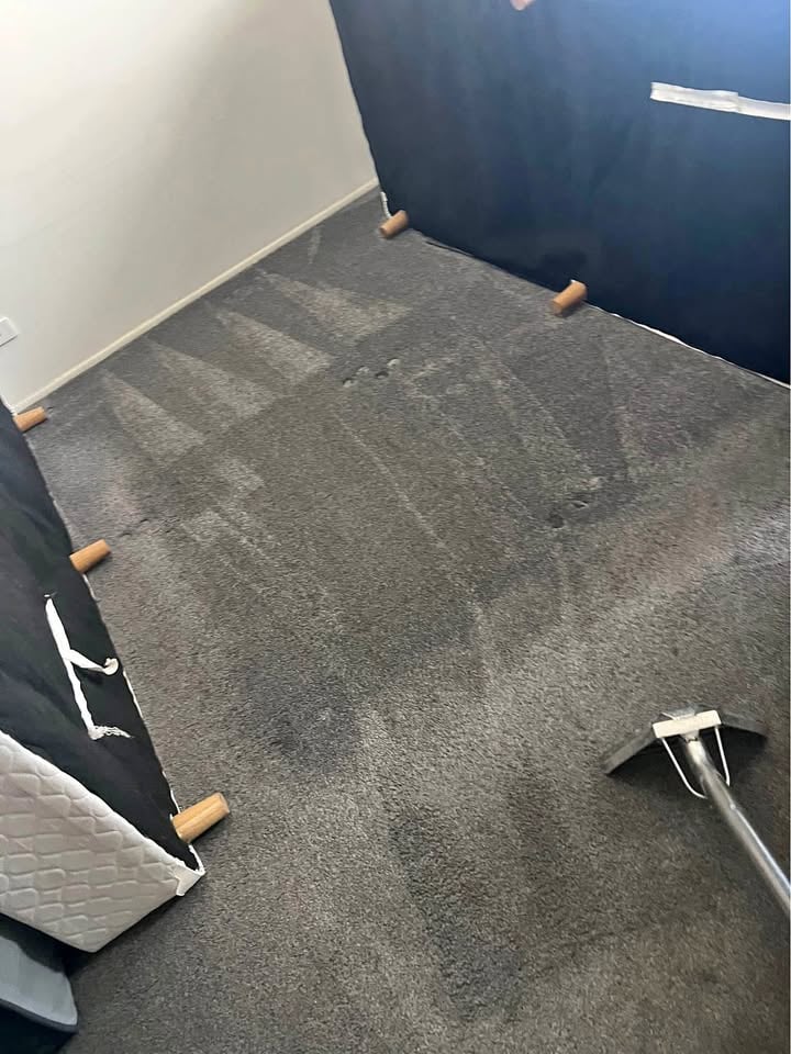 Cheap steam clean carpet couch rug mattress chairs curtains vacuum cleaner 😊✨ photo 3