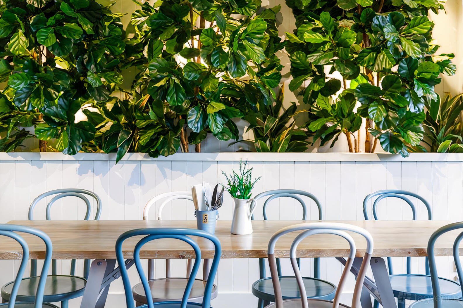 Market Street Garden Bar at Shelbourne Hotel photo 4