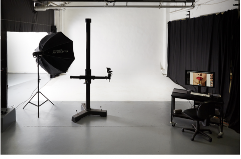 Studio 1 - Half Cyc photo 2