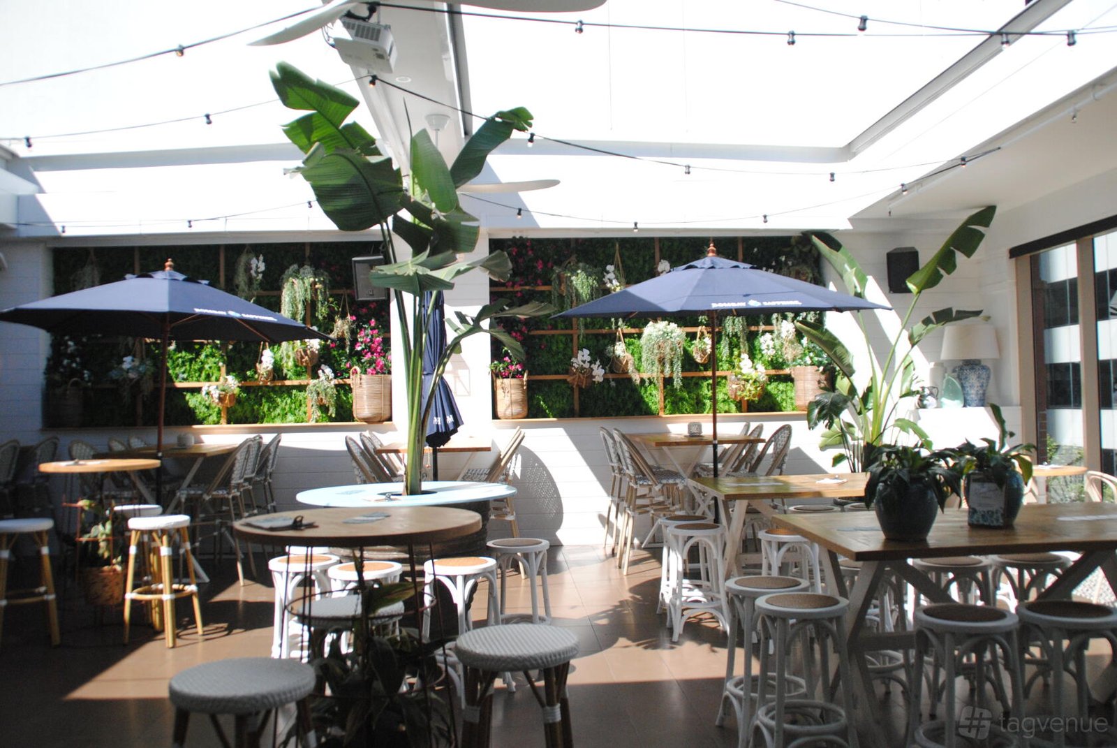 Market Street Garden Bar at Shelbourne Hotel photo 11