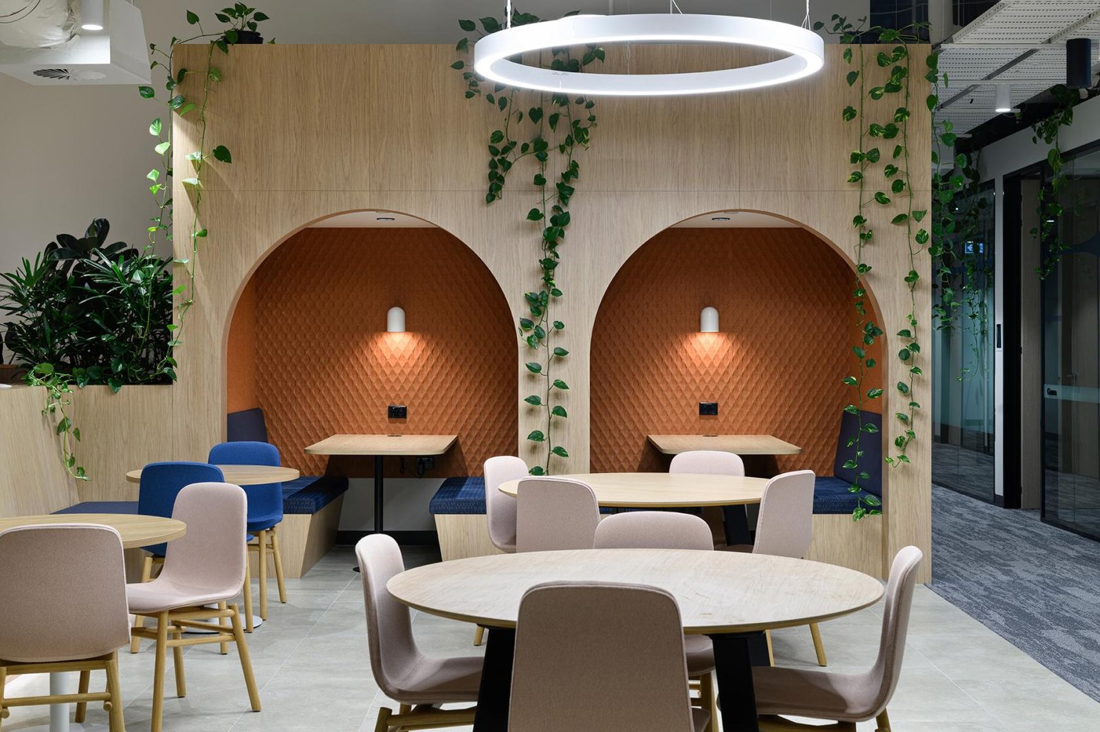 Merivale at Mobo Co photo 5
