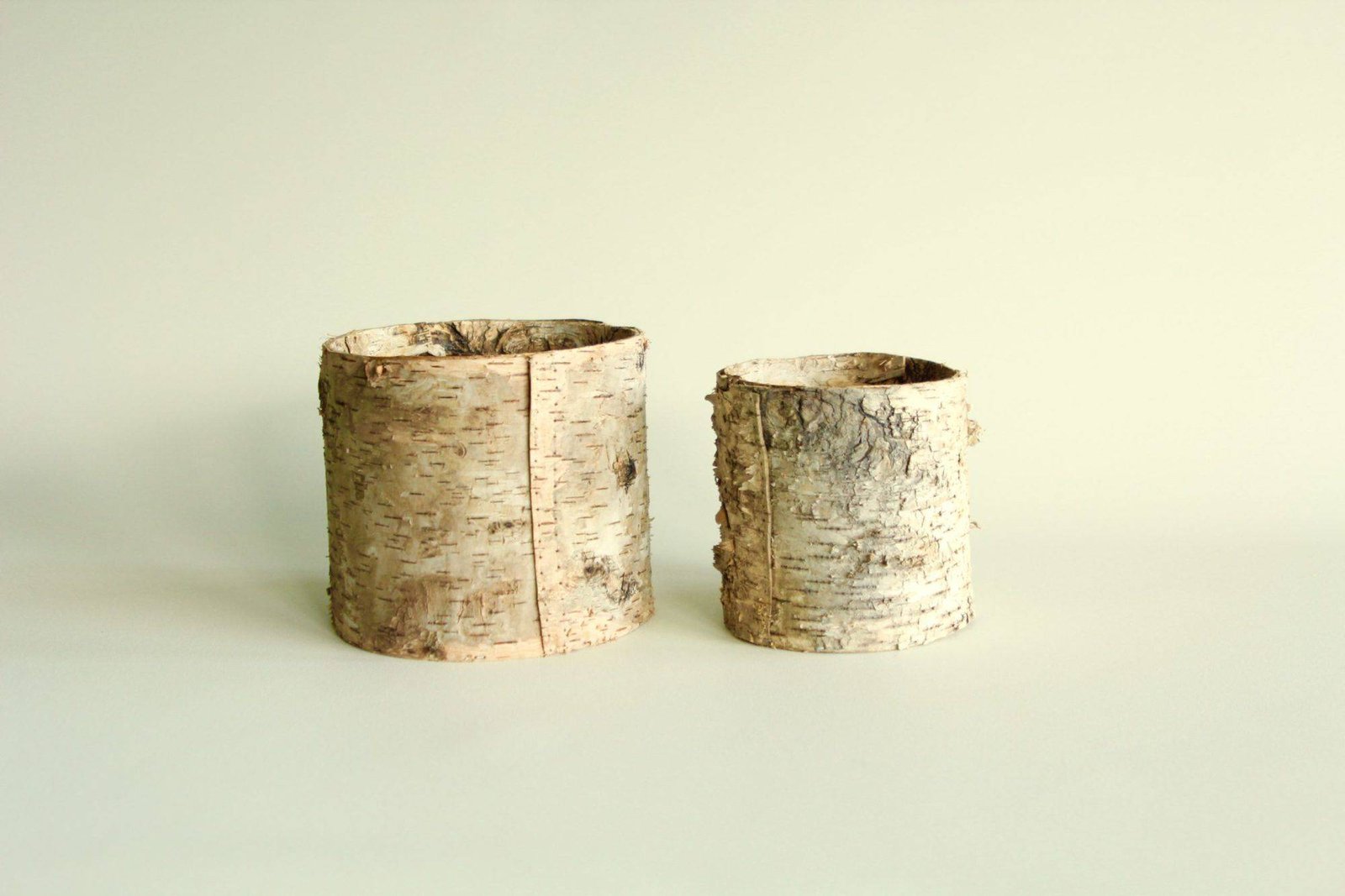 Birch Bark Planter Vases photo 6