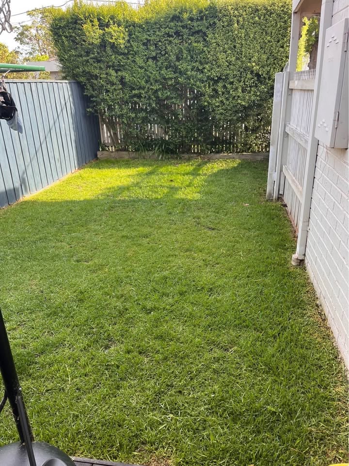 Bayside Scarifier Hire photo 4