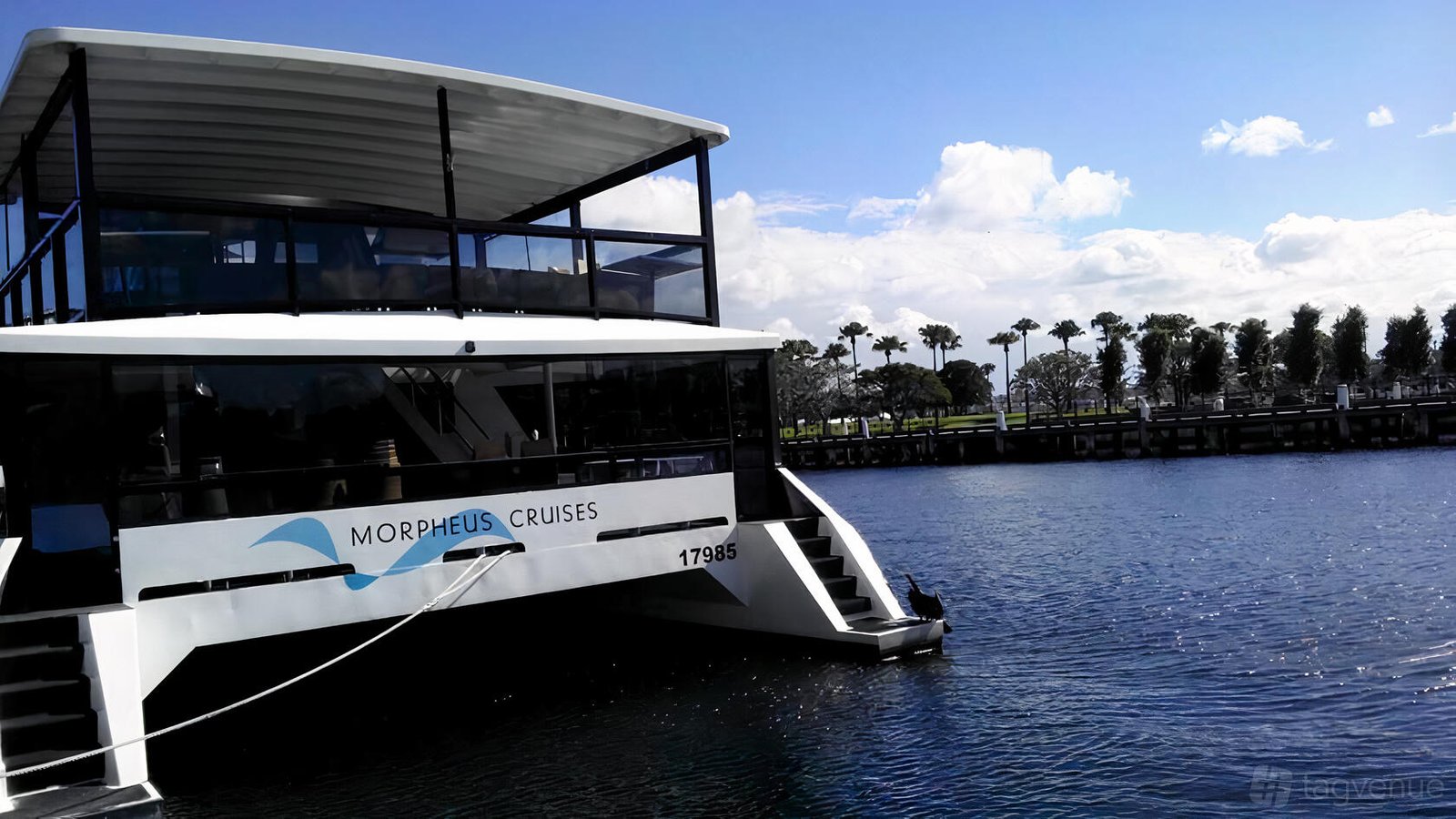 MV Morpheus at Morpheus Cruises photo 10
