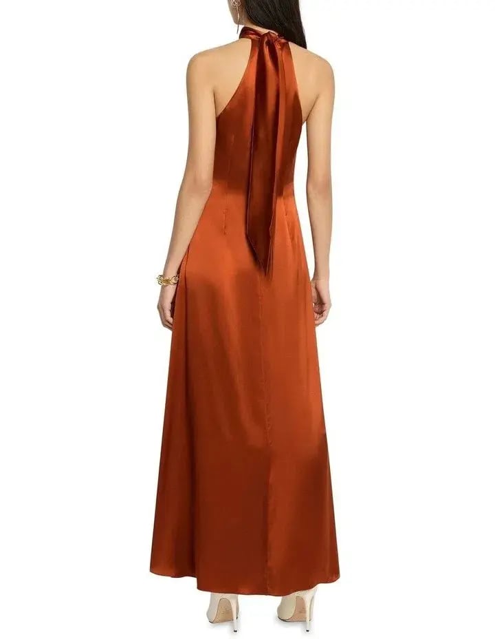 Sass & Bide Forever Now Silk Dress Brown Size 6 photo 2