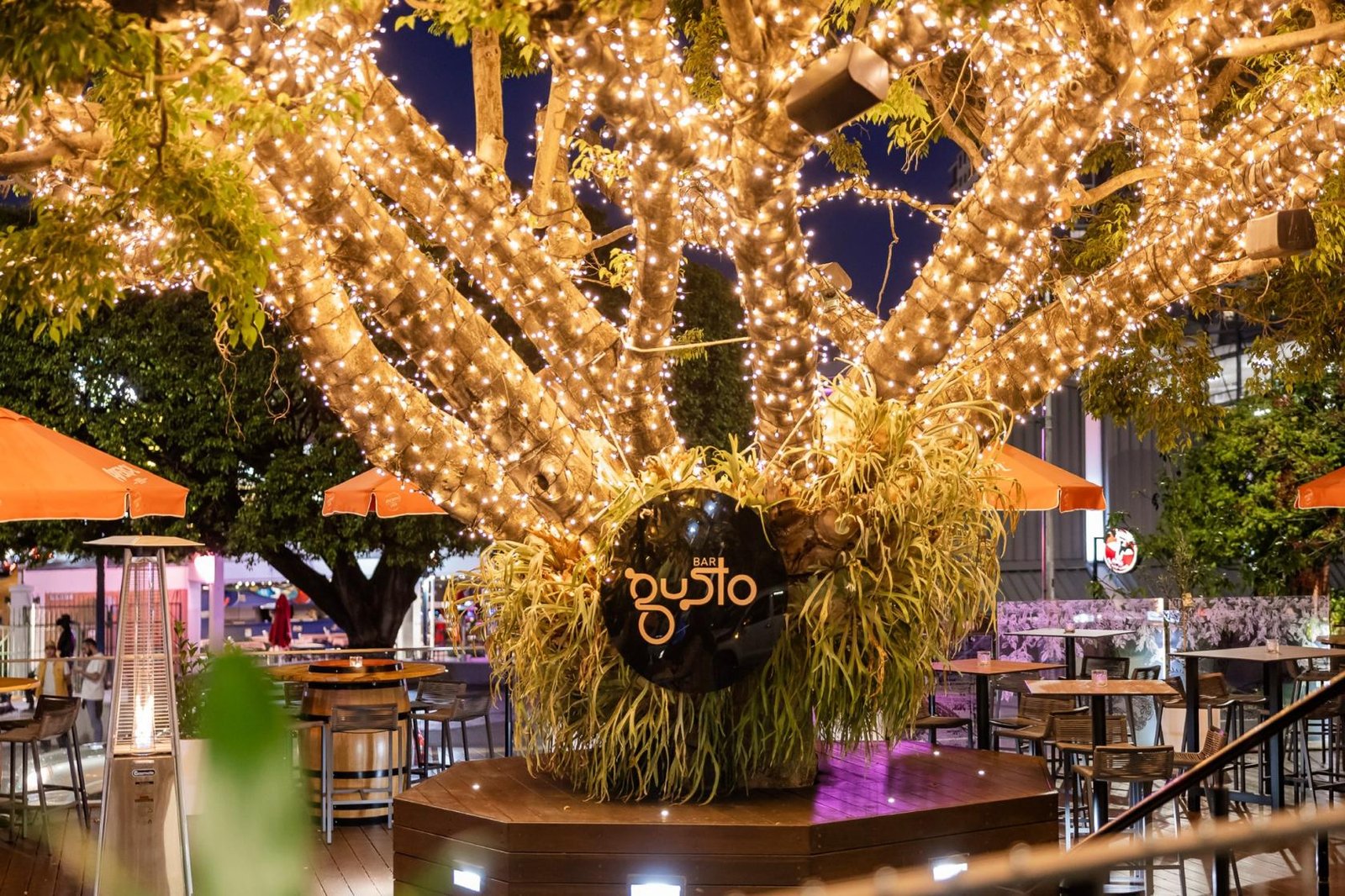 Under the Fig - King at Bar Gusto photo 4