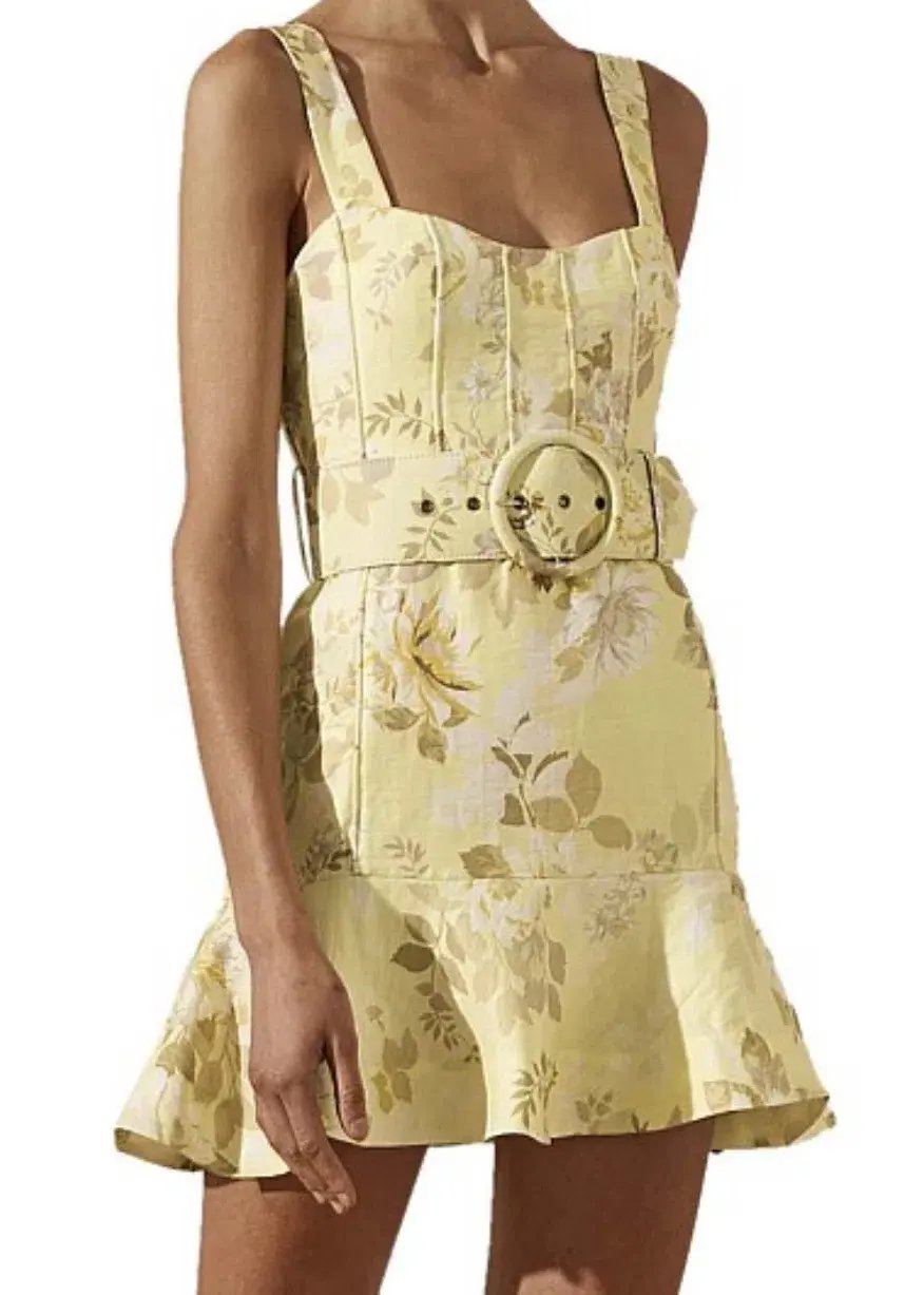 Shona Joy Martina Fit and Flare Mini Dress with Belt Print Size 8 photo 3