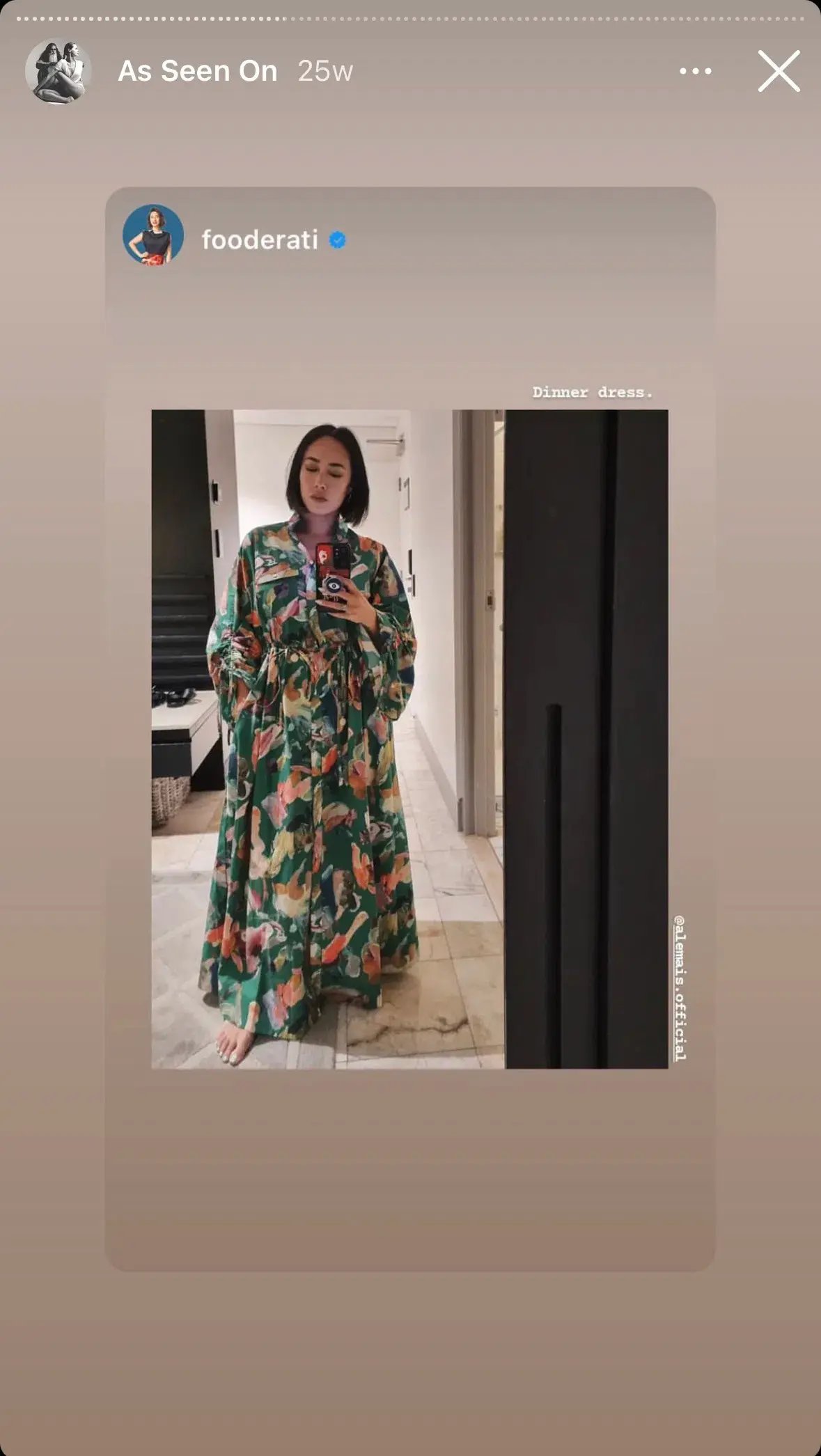 Alemais Alro Shirt Dress Print Size 14 photo 7
