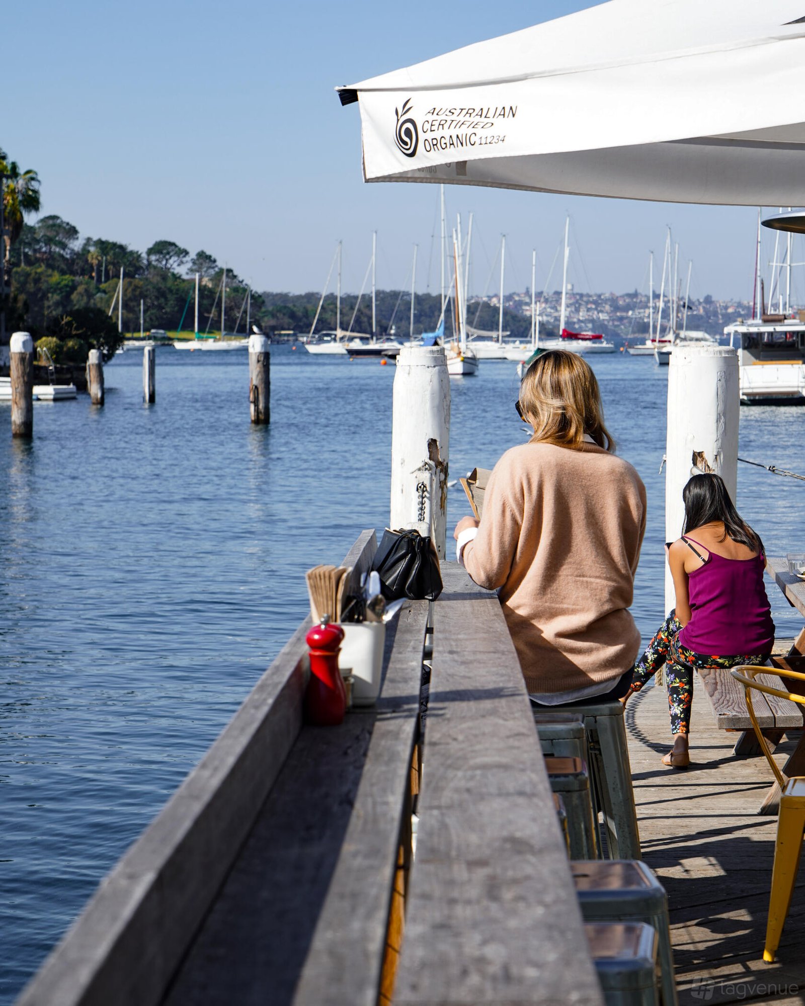 Flying Bear Deck at Foys Kirribilli photo 7
