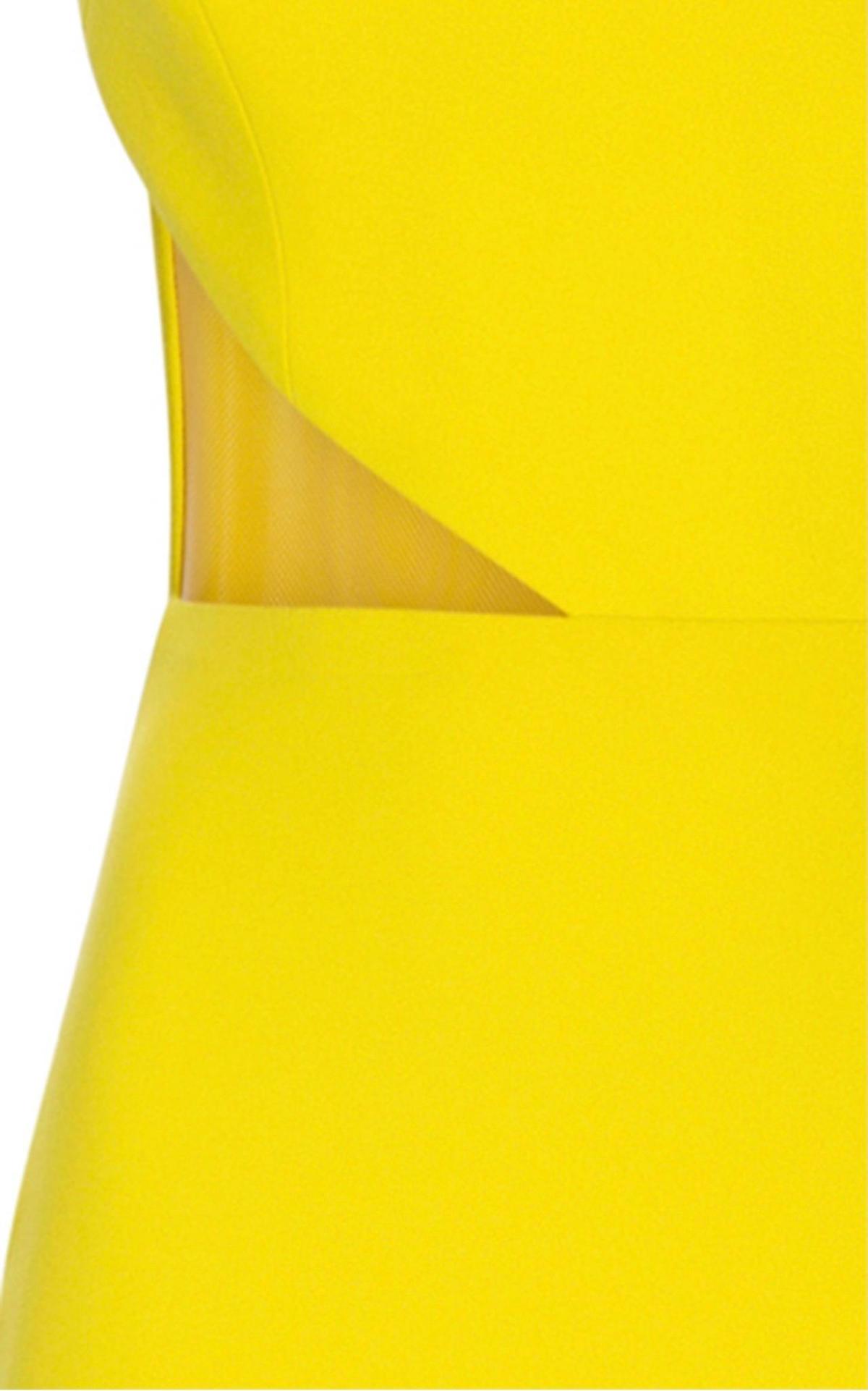 Alex Perry Serena Gown Yellow Size 8 photo 3