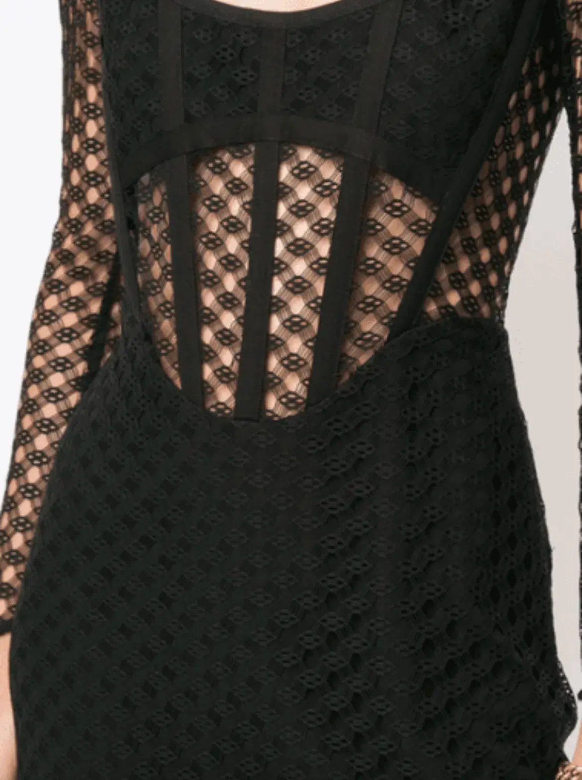 Dion Lee Corset Lace Black Bustier Dress Size 10 photo 4