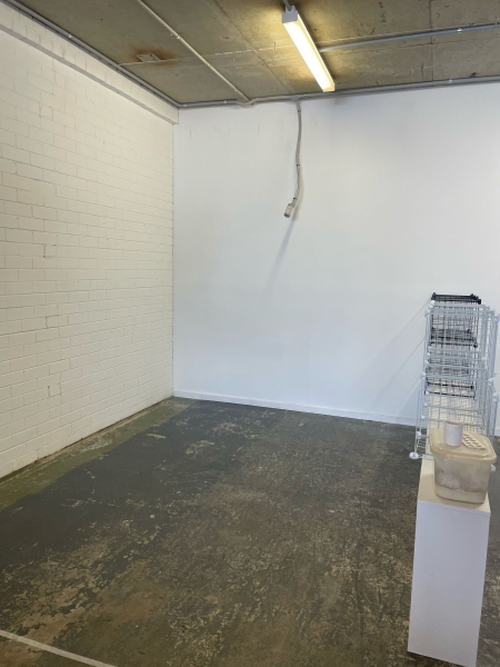 Studio spaces in heart of Balgowlah photo 4