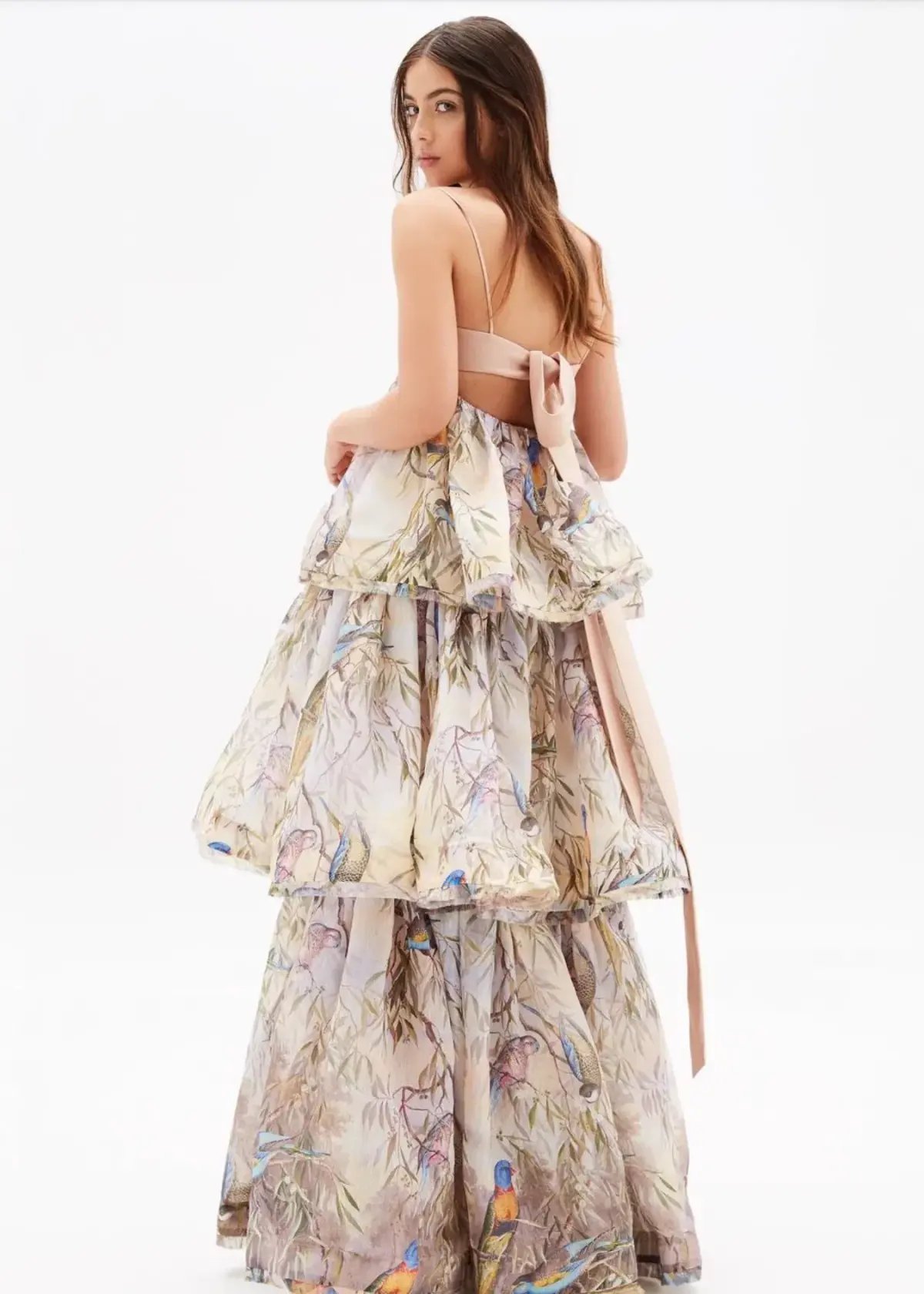 Zimmermann Candescent Parakeets Gown Print Size 2 photo 4