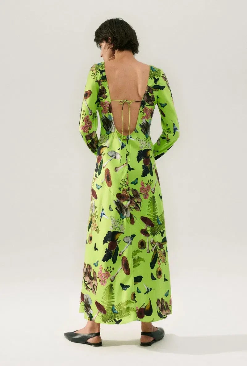Silk Laundry Sienna Dress Magic Mushroom Fern Size XS/ 6 photo 2