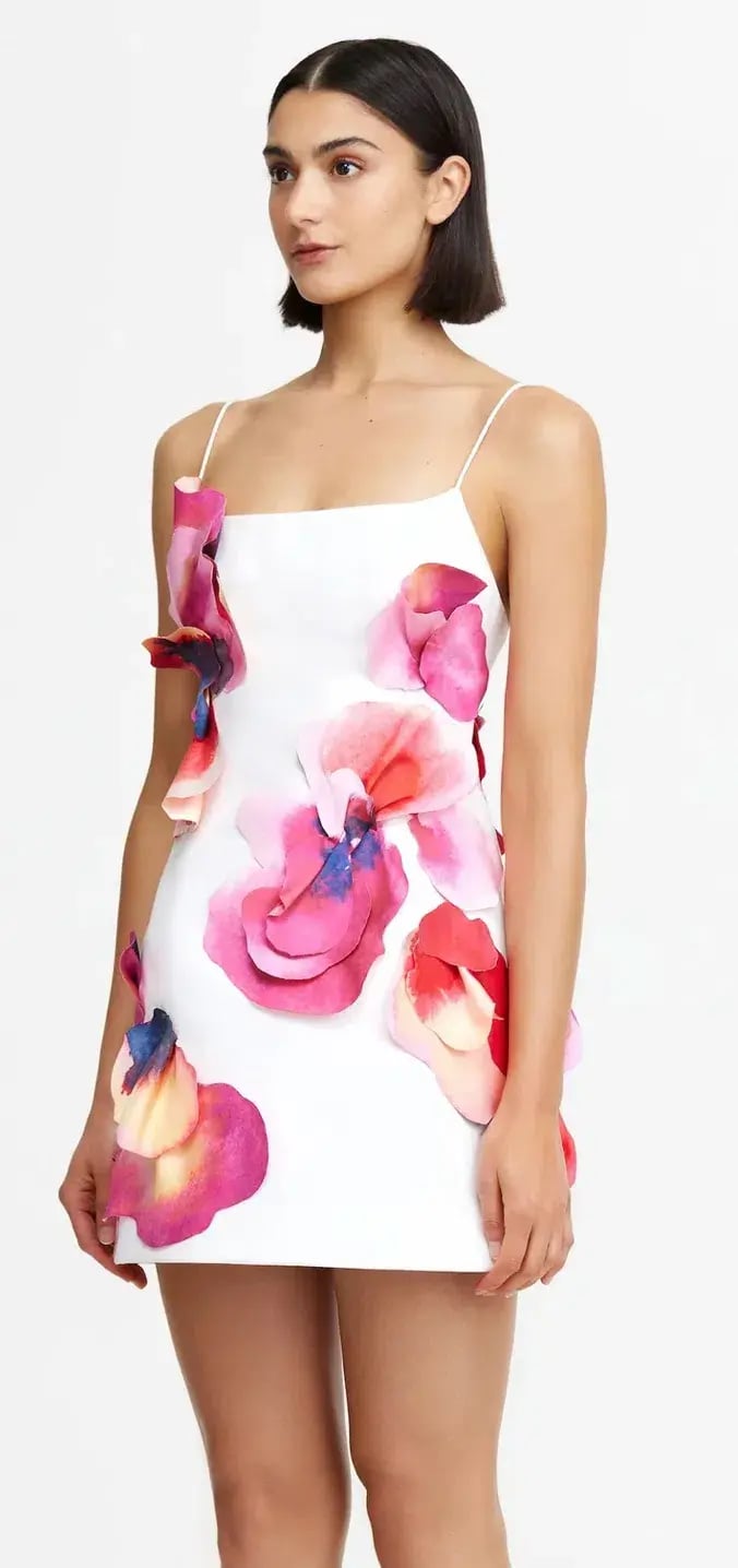 Acler Miltonrise Mini Dress White Print Size 8 photo 2