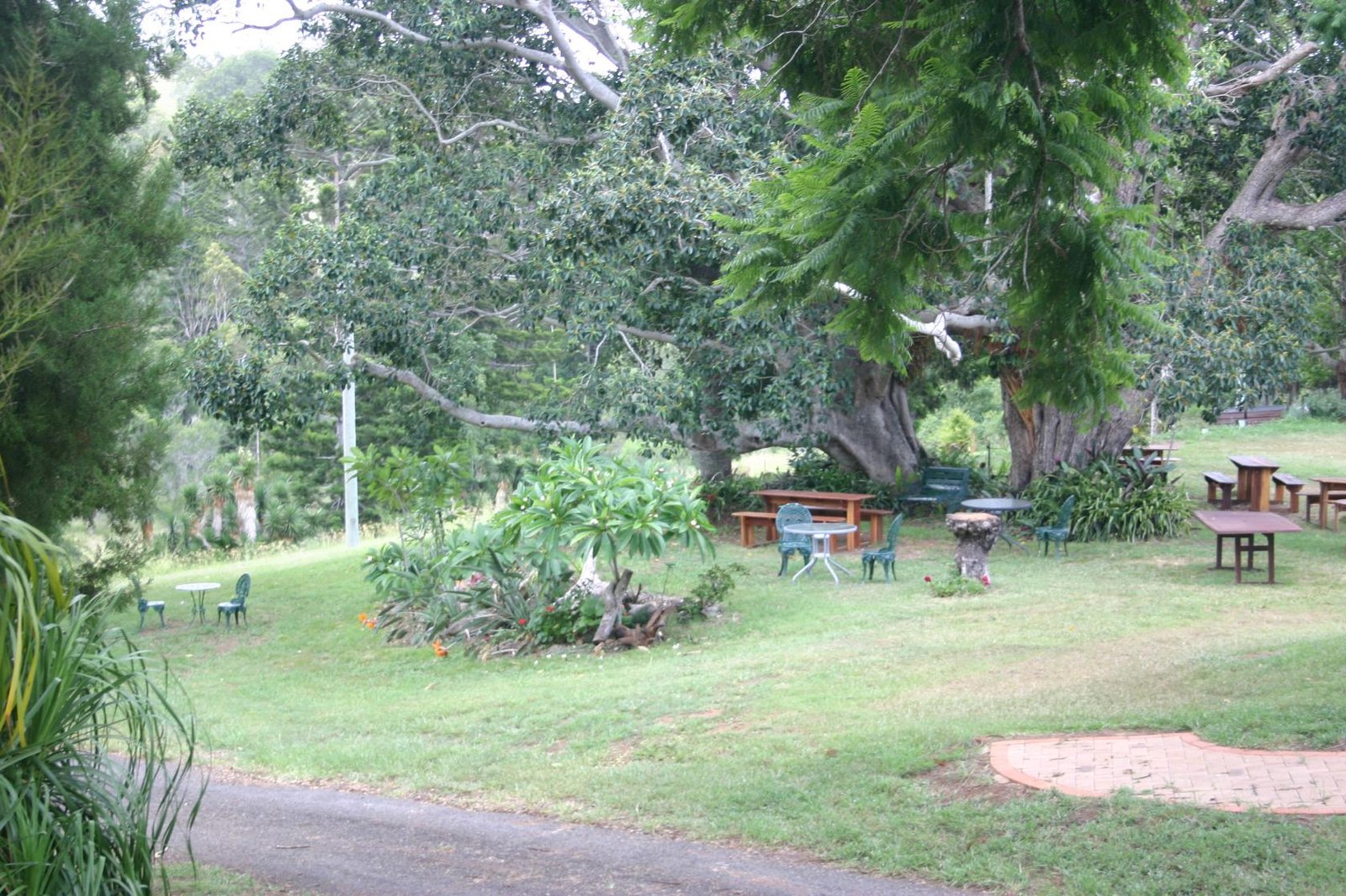 Outdoor Area at Watercress Creek Olives and Limes photo 6