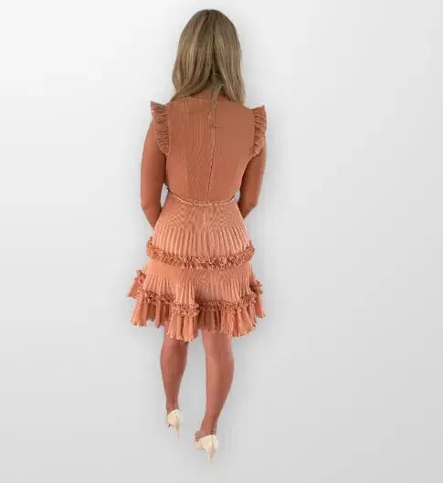 Zimmermann Pleated Mini Dress in Lipstick Size 1 / Au 10 photo 4