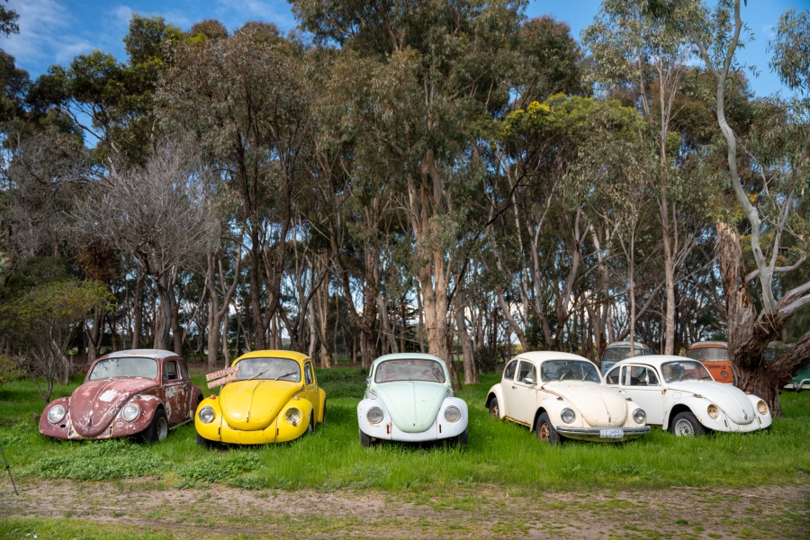 The Kombi Farm photo 6