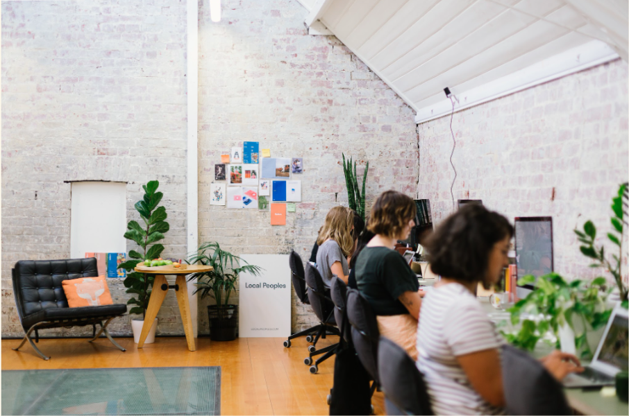 Office-share in plant-filled studio photo 4