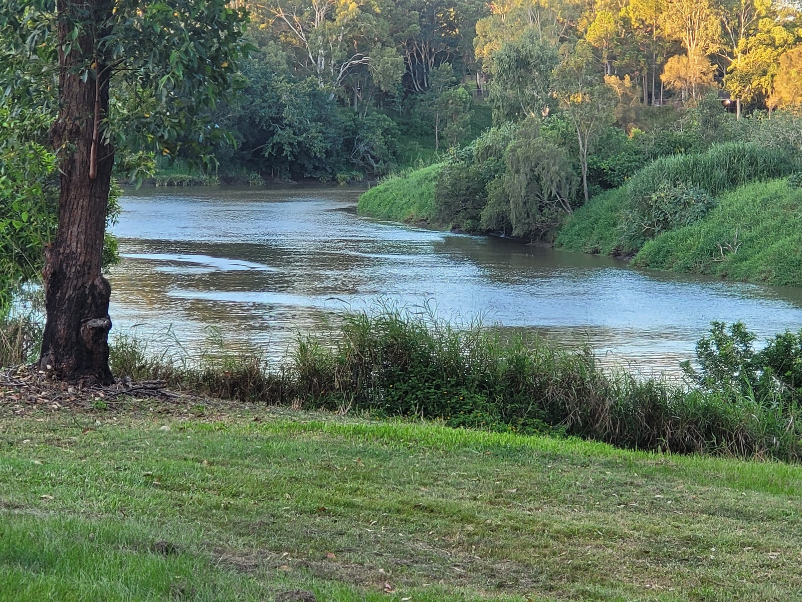 Logan River on site photo 8