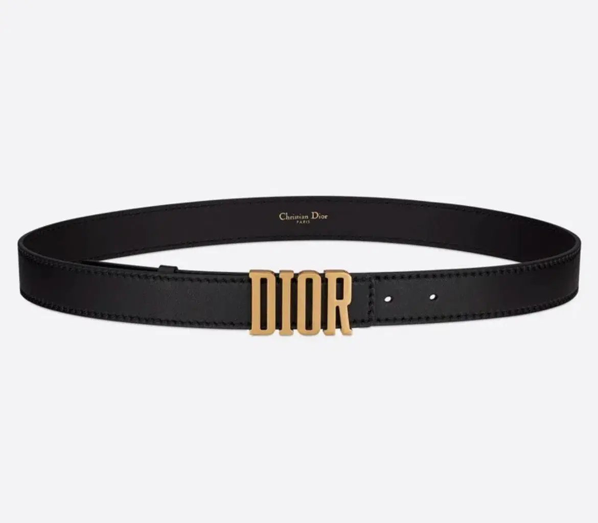 Dior D-Fence Belt Black photo 2