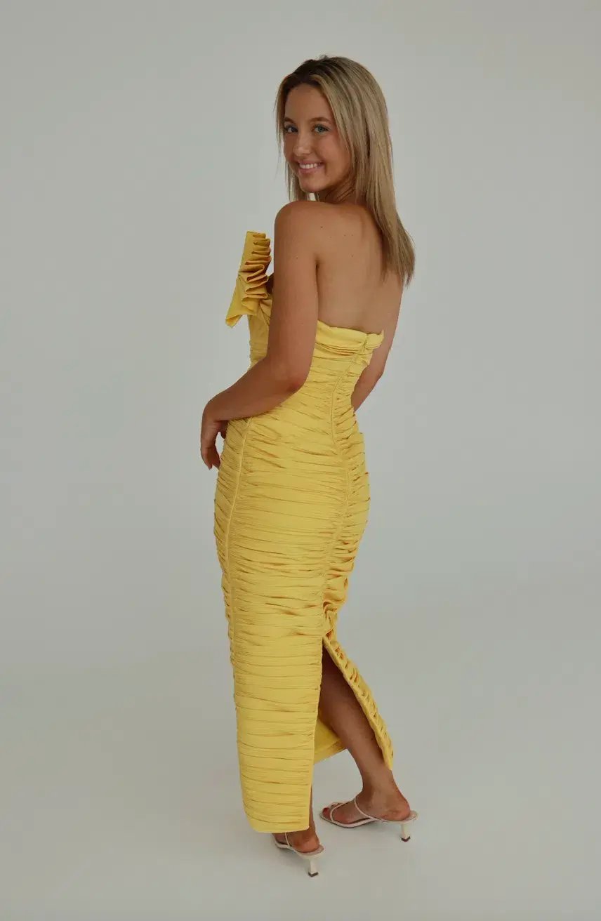 Rachel Gilbert Jensen Dress Yellow Size 2/Au 10 photo 7