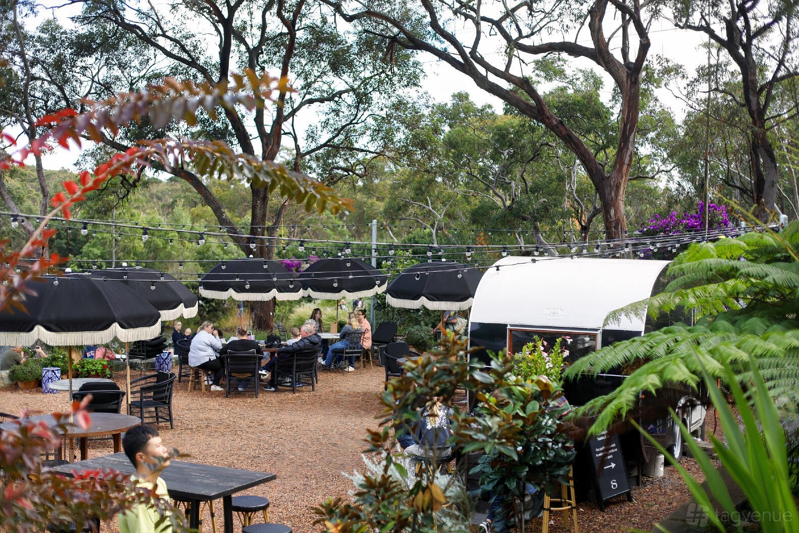 Coffee Caravan at Saddles Mount White photo 2