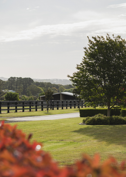 Somersby Estate photo 7