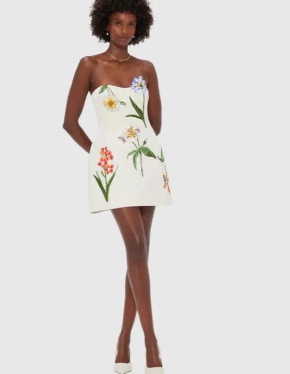 Leo Lin Rosario Velvet Mini Dress Botanical Print Snow Size 8 photo 2